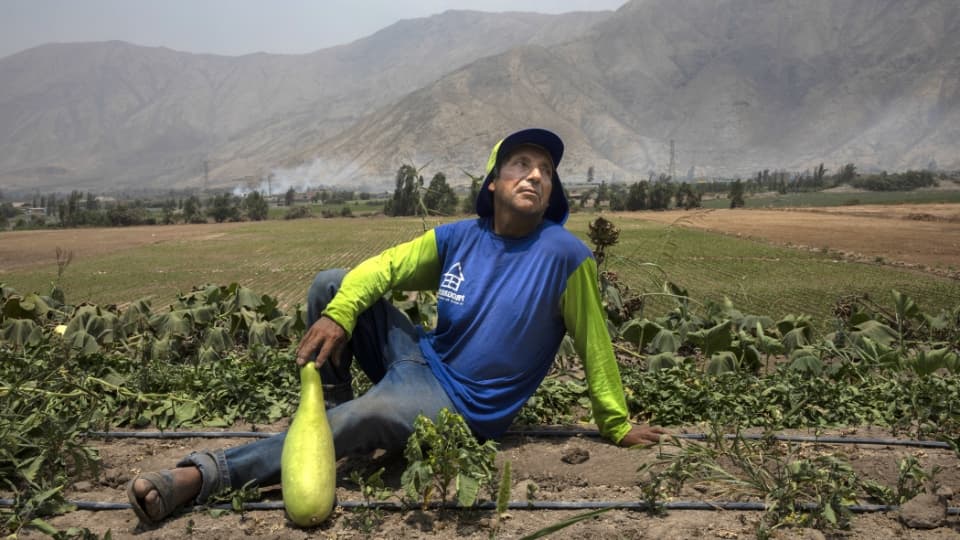 Lorgio Ñaupas, Perú